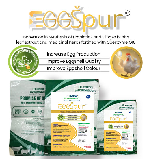 Expatica Biopharmaceutical EGGSPUR