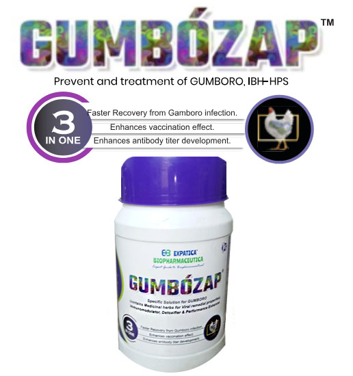 Expatica Biopharmaceutical GUMBOZAP