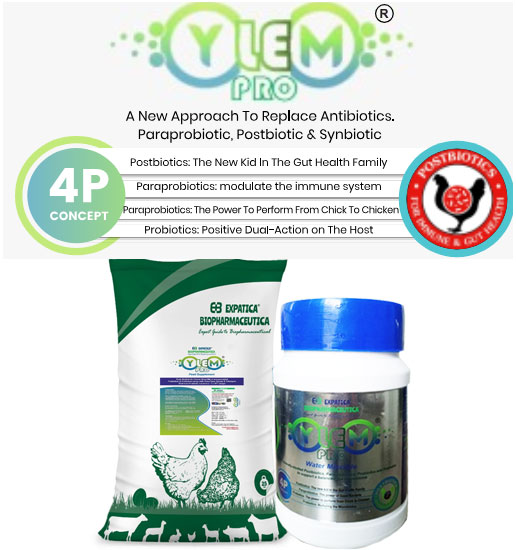 Expatica Biopharmaceutical YELEM