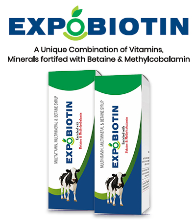 EXPATICA BIO BOVINE EXPOBIOTINE