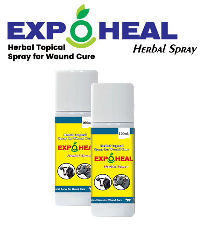EXPATICA BIO BOVINE EXPOHEAL