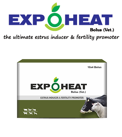 EXPATICA BIO BOVINE EXPOHEAT