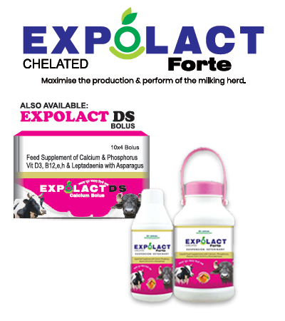 EXPATICA BIO BOVINE EXPOLACT FORTE