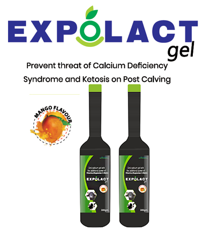 EXPATICA BIO BOVINE EXPOLACT FORTE