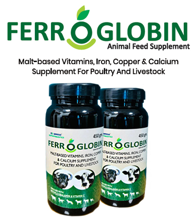 EXPATICA BIO BOVINE EXPOBIOTINE