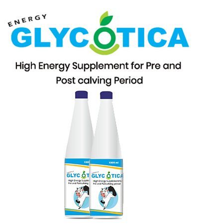 EXPATICA BIO BOVINE GLYCOTICA